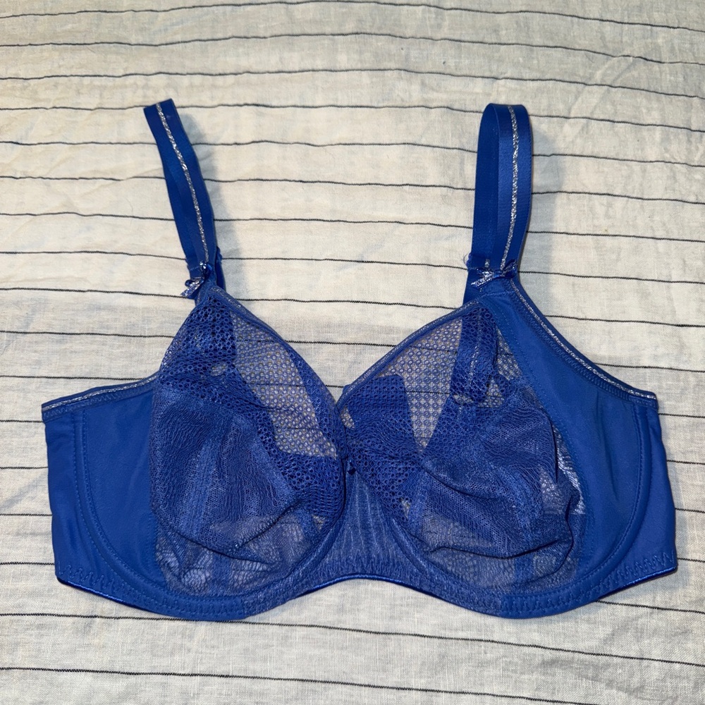 Freya Elegant Blue Lace Bra 32G